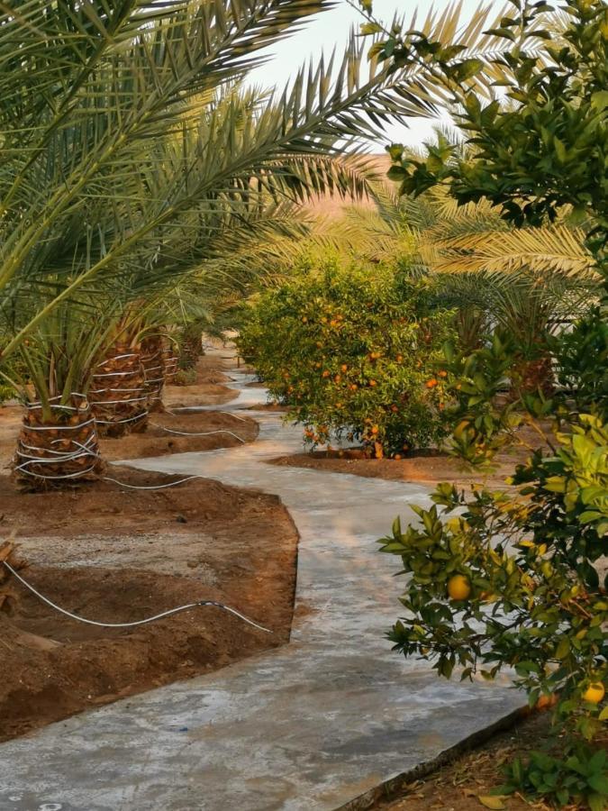 Almazham Camp Resort Al-Ula Extérieur photo