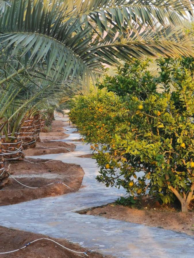 Almazham Camp Resort Al-Ula Extérieur photo
